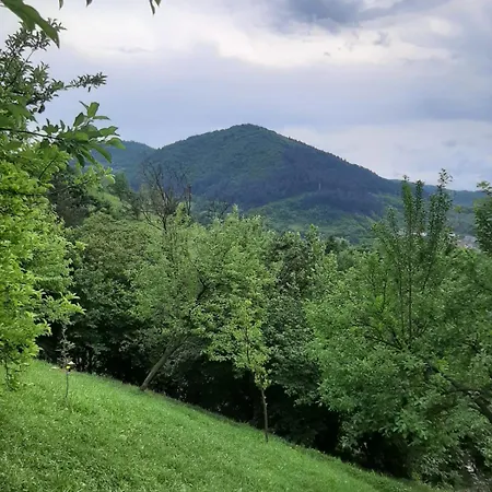 Kucica Za Odmor Becar *