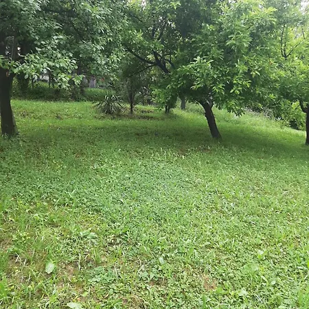 Kucica Za Odmor Becar * Visoko